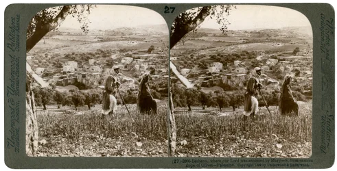 Betania, sett från den östra sluttningen av Oljeberget, Palestina, 1899.