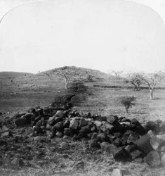 Boergraven och krönet av Harts Hill, scen för den irländska brigadens berömda anfall, Colenso, 1901