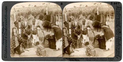 Experter som köper sidenkokonger för export till Frankrike, Antiokia, Syrien, 1900-talet.
