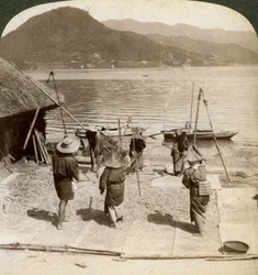 Flakande korn bredvid en fiskestrand vid Inlandshavet, Japan, 1904.