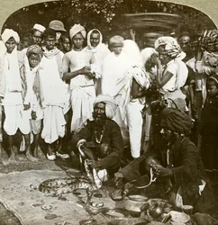 Ormtjusare, Calcutta, Indien, ca 1900-talet.