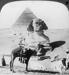 Den stora sfinxen i Giza, Egypten, 1905.