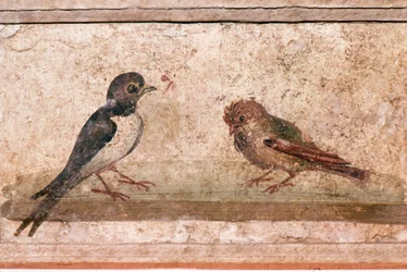 Svala och sparv, romersk väggmålning från Boscoreale nära Pompeji, 1:a århundradet