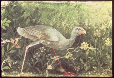 Väggmålning av en Sultan-kyckling i en trädgård, Pompeji, 1:a århundradet e.Kr