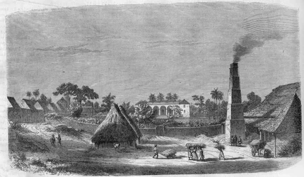 En godisfabrik på ön Kuba 1869.