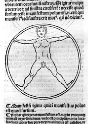 En sida av "The Philosophy of the Poor" av Albert den store (= Albert Magnus 1206 - 1280). Illustration som visar en man i en cirkel. Brescia 1493