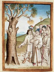 En eftersöksman gömmer sig i en miniatyrträdstam från en tysk översättning av fablerna om Bidpais "Kalila (Calila) och Dimna". (ms. 1389, fol. 36) omkring 1480 Chantilly, musee Conde
