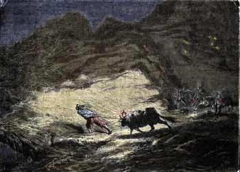 Ett skeppsvrak (pirat) använder ett ljus som hänger på huvudet av en oxe för att lura skepp som sedan närmar sig kusten och hamnar i dörren till plundrare. Gravyr av 1800-talet.