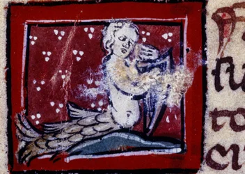 A Siren - Bestiary of the 14th Century. Milano, Bibliotek Trivulziana.
