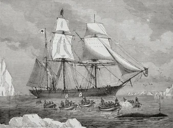 En valfångare med båt snabbt till en "fisk" (med pistolharpunen)