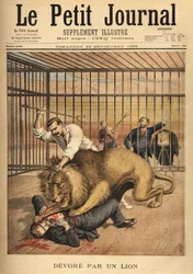 En ung man, som vill bli fotograferad i ett lejons bur, blir uppslukt, trots tämjarens ansträngningar att hålla lejonet. Gravyr i "" Le petit journal"" 1895-09-29. Selvas samling.