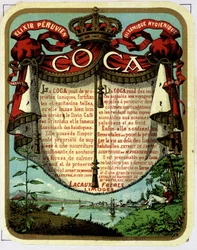 Reklam för Coca (produkt utvunnen ur kokain): "" The Peruvian Balsamic Hygienic Exilir COCA"", kromolitografi från 1800-talet.