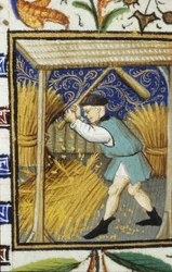 Allegorisk framställning av augusti. En bonde som slår vete. Miniatyr av ett 1300-talsmanuskript.