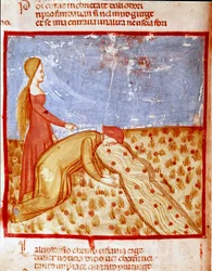 Vid ingången till Paradiset möter Dante Mathelda och dricker vatten från Eunoefloden, vilket gör minnet av goda saker fullbordat. Upplyst sida som illustrerar en sång om Paradiset från "Divina Commedia" av Dante Alighieri (1265-1321). 14:e c