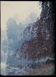 Höstlandskap, sjö och rött träd i dimman - 1920 ca (Höstlandskap, sjö och rött träd i dimman) Autochrome anonym Collection privee