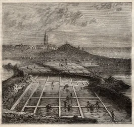 Batz sur Mer, Bretagne, Frankrike - Salttillverkning. Vy över en saltmark i västra Frankrike - gravyr i 