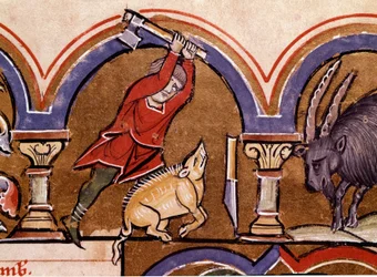 Kalender: november. Grisarna slaktas. Detalj av en miniatyr tagen från "" The Psalter of Saint Elizabeth""" Cividale från 1200-talet, Museo Archeologico