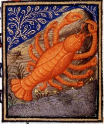 Cancer. Miniatyr av ett horoskop. 1400-talsmanuskript. Bibl. Trivulziana, Milano.