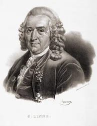 Carl Von Linné svensk naturforskare och författare (1707 - 1778).