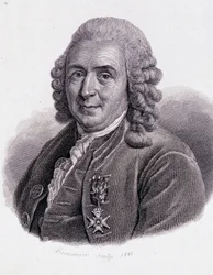 Carl Von Linné svensk naturforskare och författare (1707 - 1778) - i "Porträtt av nyttiga män""