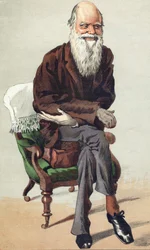 Charles Darwin (1809 - 1882), illustration i "Vanity Fair" den 30 september