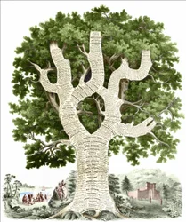 Kronologiskt diagram över amerikansk historia tillägnad folket i USA av förlaget. Gravyr v. 1881.