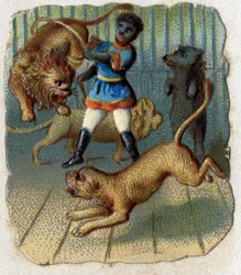 Cirkus: en tämjare i en bur med vilda djur.