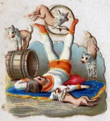 Cirkus: en djurtämjare som fångar fångster har hundar, inklusive en som passerar i en båge. Kromolitografi omkring 1890.