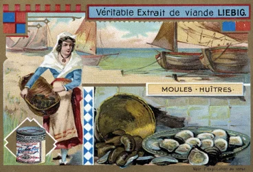 Samling av musslor och ostron - chromo. Liébig, v.1900