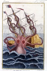 Kolossal bläckfisk (bläckfisk, jättebläckfisk, kraken) som angriper ett skepp - gravyr ur boken av Pierre Denys-Montfort (Denys de Montfort 1766-1820) ”Histoire naturelle des mollusques”, originalutgåva från 1802
