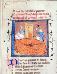 ""Par som omfamnar i en säng, en drottning dödar ett spädbarn och en annan karaktär bränner ner ett hus"" Upplyst sida från manuskriptet ""Le Roman de la Rose"" av Guillaume de Lorris (cirka 1200-1238) och Jean de Meun (Meung) (1240-1305) runt 1365 univers