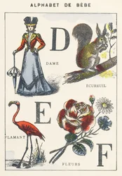 D E F: dam, ekorre, flamingo, blommor