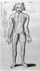 De Acupunctura av W.Ten Rhijn. London 1683. Första västerländska text som handlar om akupunktur.
