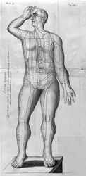 De Acupunctura av W.Ten Rhijn. London 1683. Första västerländska text som handlar om akupunktur.