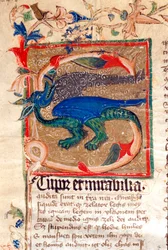 Dragon Decoree Lettrine Detalj av 1300-talsmanuskript