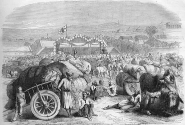 Engelska Indien 1872: Bomullsmarknaden i Khangaon.