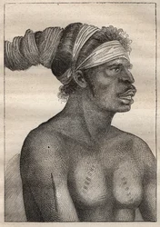 Expedition av Antoine Bruny (Bruni) d