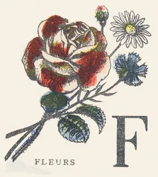 F: blommor