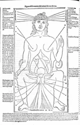 Kvinnlig reproduktionsapparat - i Treatise of Medicine av Gerolamo Cardano (Cardano) (Cardanus Hieronymus), Florens 1585.