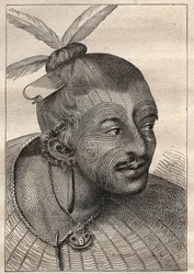 Första resan (1768-1771) av kapten James Cook (1728-1779): tatuerat huvud av en Neo-Zelandais (Neo Zelandais) - illustration hämtad från "The Great Mariners of the 18th century""