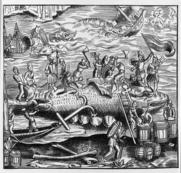 Fiske och valfångst, baserat på en trägravyr från Thevets "Universal Cosmography". Paris 1575