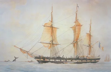 Franskt valfångstskepp, ca 1845 (färg litho)