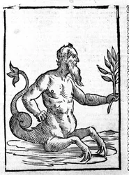 Glaucos med det magiska gräset som gör att han kan leva i havet - i Mythologiae sive explanationum fablerum de Natalis Comitis. Patavia