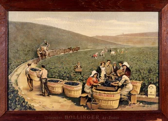 Skörd vid Bollinger. cirka 1900.