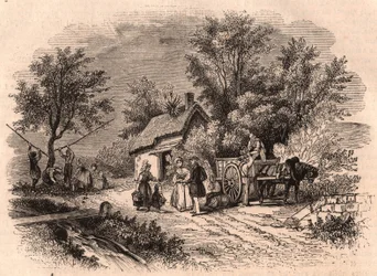 Skörd av äpplen i Normandie, Frankrike