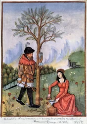 Skörda en balsam - Bok med enkla mediciner