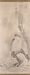 Hawks And Prey (bläck på papper)