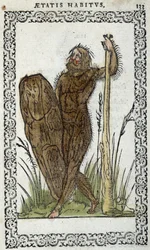 Homme sauvage - i "" Habits et effigies"" av Jean Sluperius
