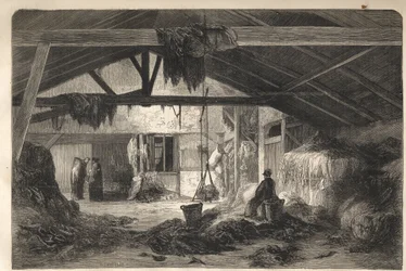 Bostad för en trashandlare i rue de la Montagne Sainte Genevieve i Paris i 5:e arrondissementet. gravyr från 1861