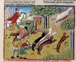 Hur man jagar miniatyrhjortarna från "The book of hunting"" av Gaston III Phoebus, greve av Foix, Lord of Bearn (1331-1391)
